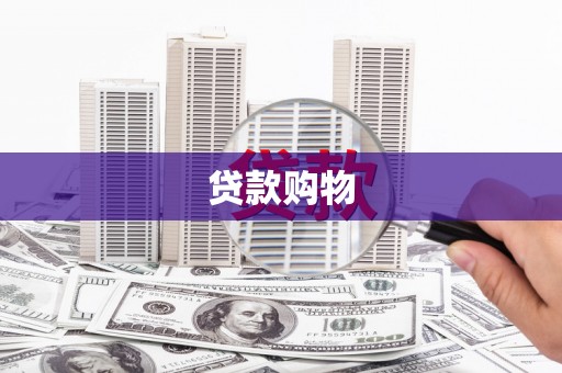 太和贷款购物