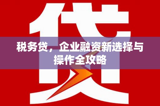 宣汉税务贷，企业融资新选择与操作全攻略