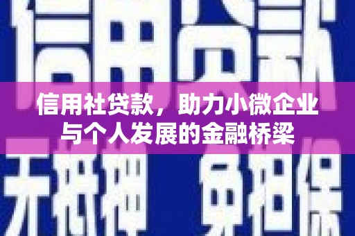 陆丰信用社贷款，助力小微企业与个人发展的金融桥梁