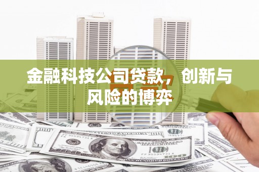 普湾新区金融科技公司贷款，创新与风险的博弈