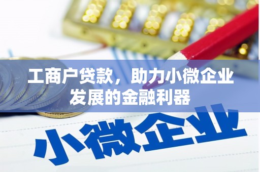 扶绥工商户贷款，助力小微企业发展的金融利器