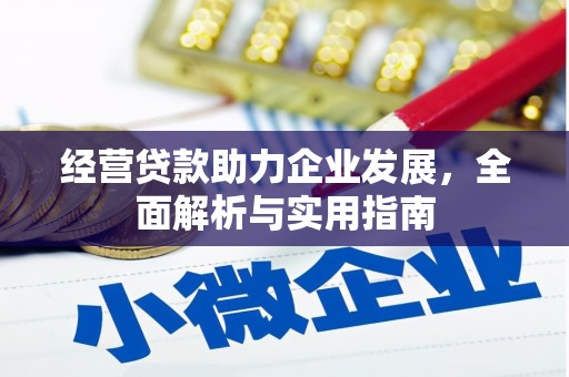 新园经营贷款助力企业发展，全面解析与实用指南