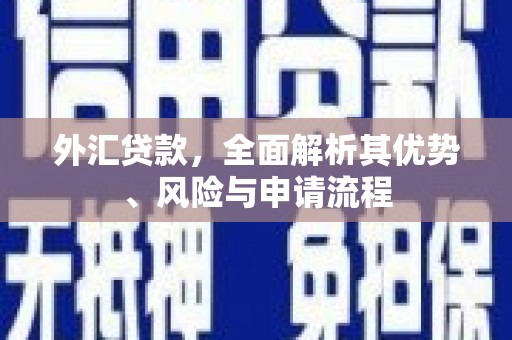 夷陵外汇贷款，全面解析其优势、风险与申请流程