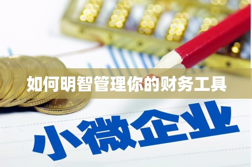 新乐如何明智管理你的财务工具