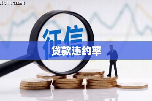 东昌贷款违约率