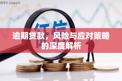 昭苏逾期贷款，风险与应对策略的深度解析