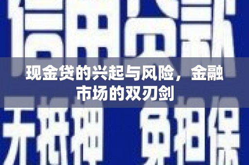 泗阳现金贷的兴起与风险，金融市场的双刃剑