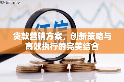 代县贷款营销方案，创新策略与高效执行的完美结合