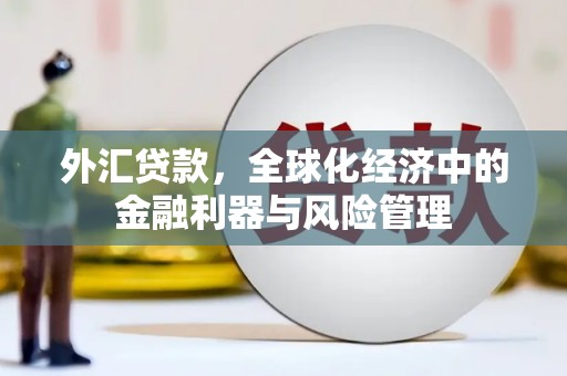 天峨外汇贷款，全球化经济中的金融利器与风险管理