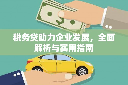 信州税务贷助力企业发展，全面解析与实用指南
