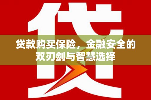 弥陀贷款购买保险，金融安全的双刃剑与智慧选择