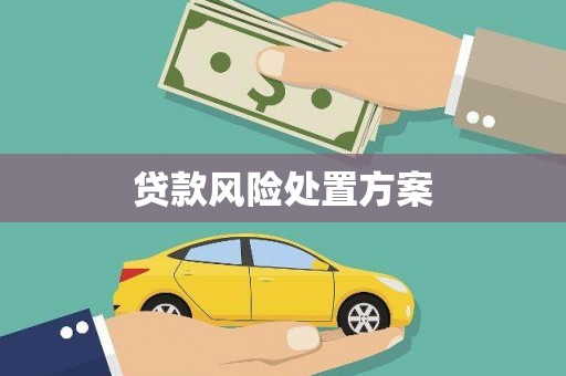 清流贷款风险处置方案