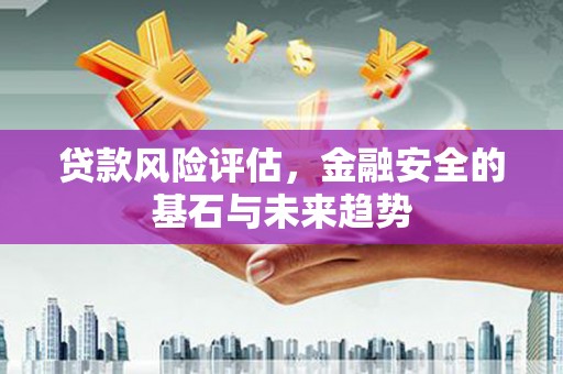 东乡族贷款风险评估，金融安全的基石与未来趋势