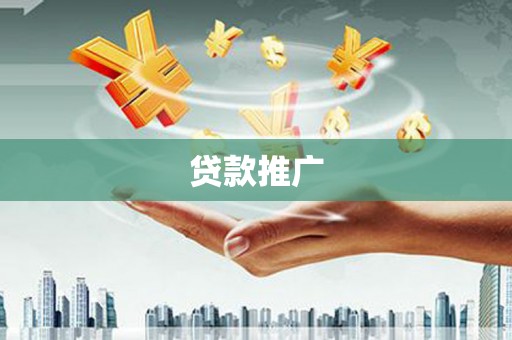 天元贷款推广