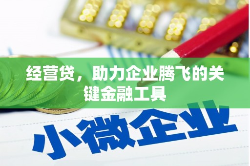 乐清经营贷，助力企业腾飞的关键金融工具