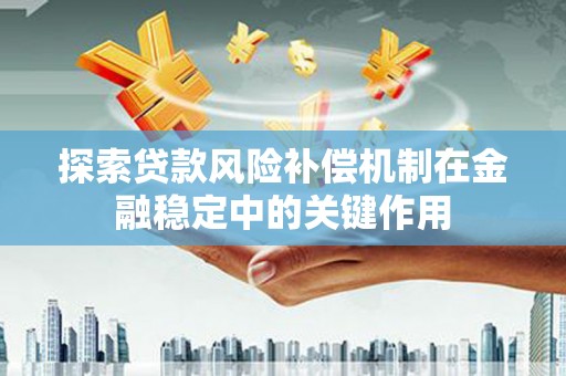 盐源探索贷款风险补偿机制在金融稳定中的关键作用