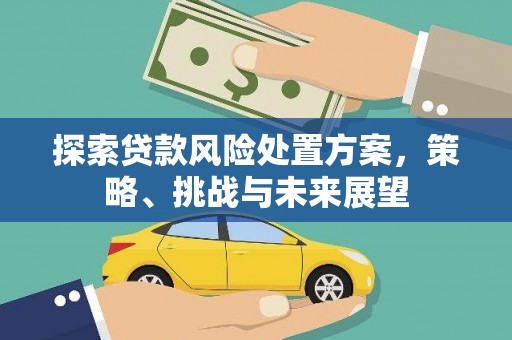 黄平探索贷款风险处置方案，策略、挑战与未来展望