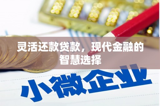 温州灵活还款贷款，现代金融的智慧选择