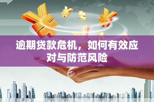东宝逾期贷款危机，如何有效应对与防范风险