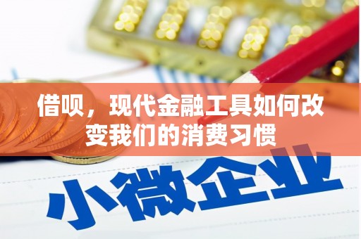 汝南借呗，现代金融工具如何改变我们的消费习惯