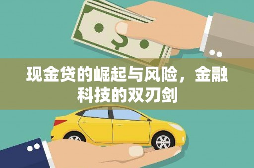 西吉现金贷的崛起与风险，金融科技的双刃剑