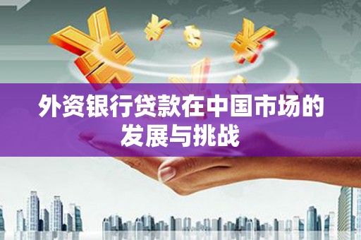 灵武外资银行贷款在中国市场的发展与挑战