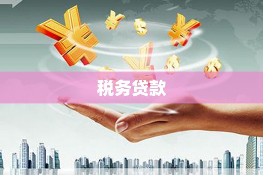 修文税务贷款