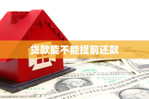 昭化贷款能不能提前还款