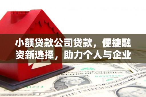 黔西南小额贷款公司贷款，便捷融资新选择，助力个人与企业成长