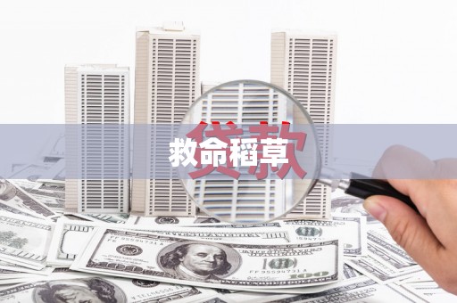 镇远救命稻草