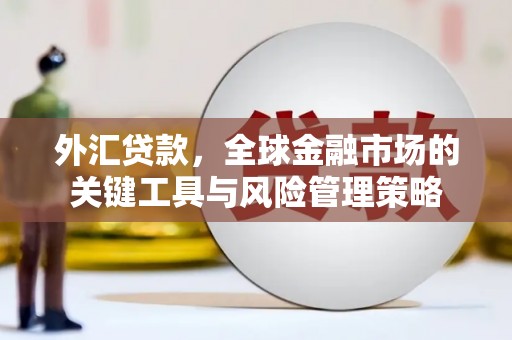 林甸外汇贷款，全球金融市场的关键工具与风险管理策略