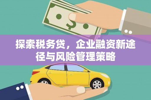宁陵探索税务贷，企业融资新途径与风险管理策略