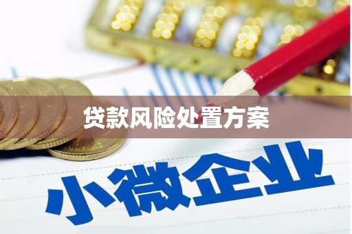 罗东贷款风险处置方案