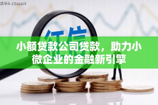 金华小额贷款公司贷款，助力小微企业的金融新引擎