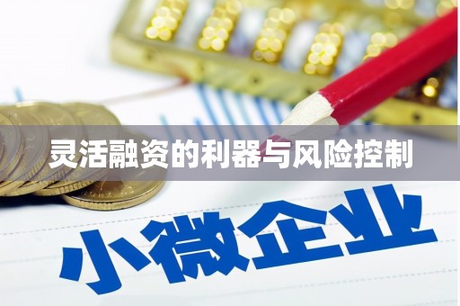 清涧灵活融资的利器与风险控制