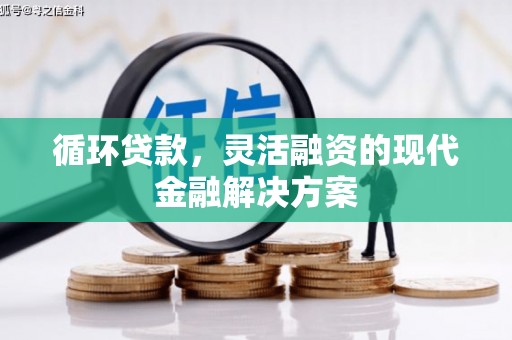 府谷循环贷款，灵活融资的现代金融解决方案