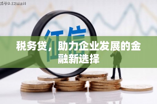 延平税务贷，助力企业发展的金融新选择