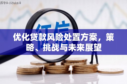 潍坊优化贷款风险处置方案，策略、挑战与未来展望
