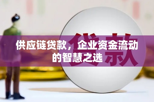 黔东南供应链贷款，企业资金流动的智慧之选