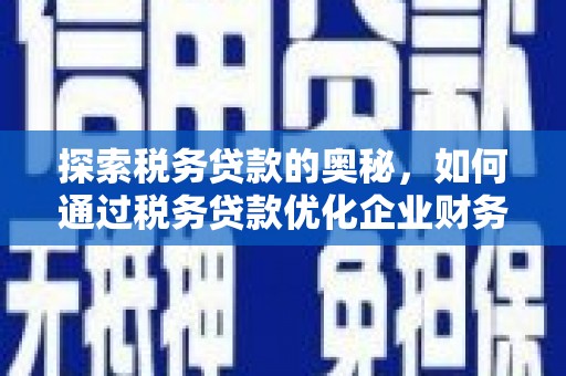 岳麓探索税务贷款的奥秘，如何通过税务贷款优化企业财务