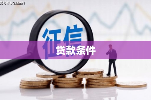 驻马店贷款条件
