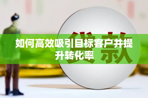 分宜如何高效吸引目标客户并提升转化率