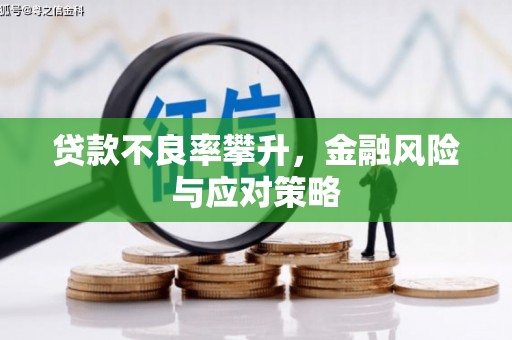 闵行贷款不良率攀升，金融风险与应对策略