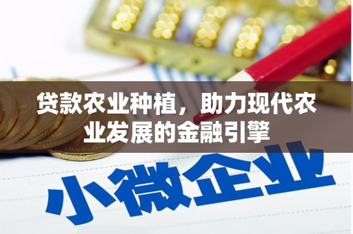 曲麻莱贷款农业种植，助力现代农业发展的金融引擎