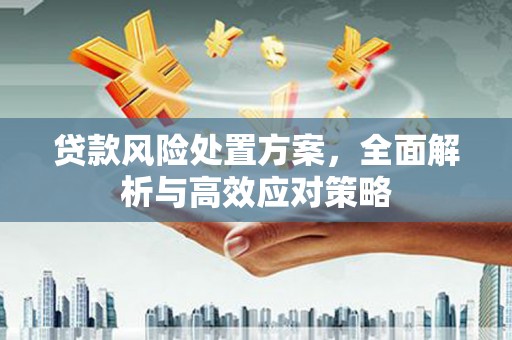 吴忠贷款风险处置方案，全面解析与高效应对策略