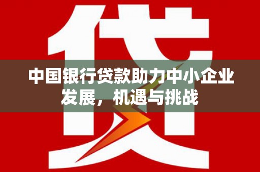 板桥中国银行贷款助力中小企业发展，机遇与挑战