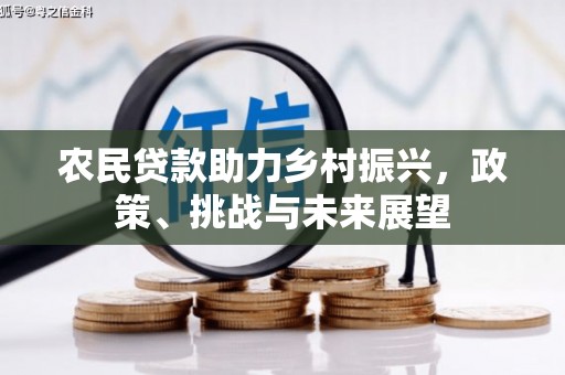 沈河农民贷款助力乡村振兴，政策、挑战与未来展望