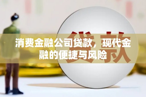 剑川消费金融公司贷款，现代金融的便捷与风险