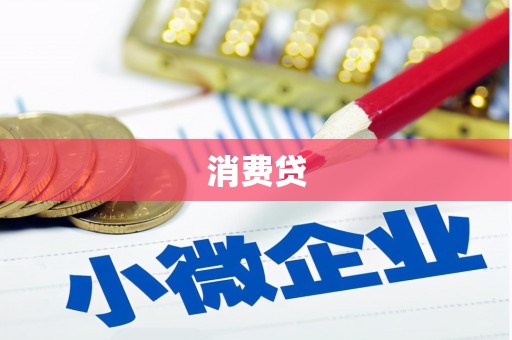 静海消费贷