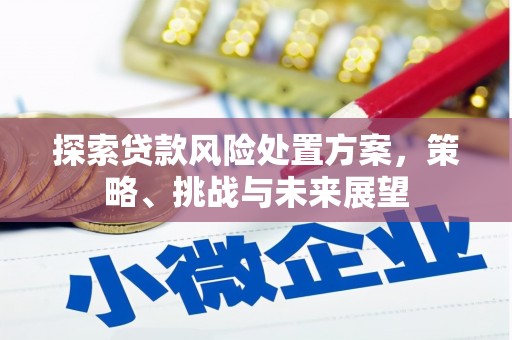 怀集探索贷款风险处置方案，策略、挑战与未来展望